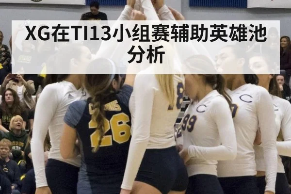 XG在TI13小组赛辅助英雄池分析