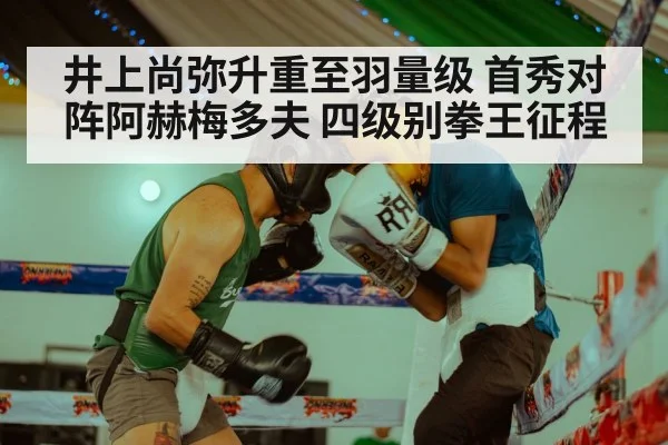 井上尚弥升重至羽量级 首秀对阵阿赫梅多夫 四级别拳王征程